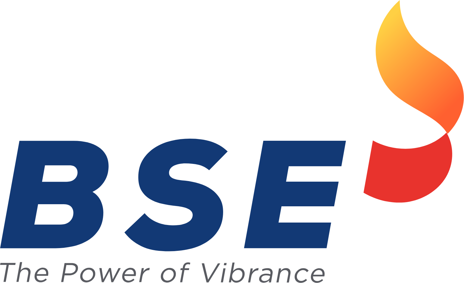 BSE India