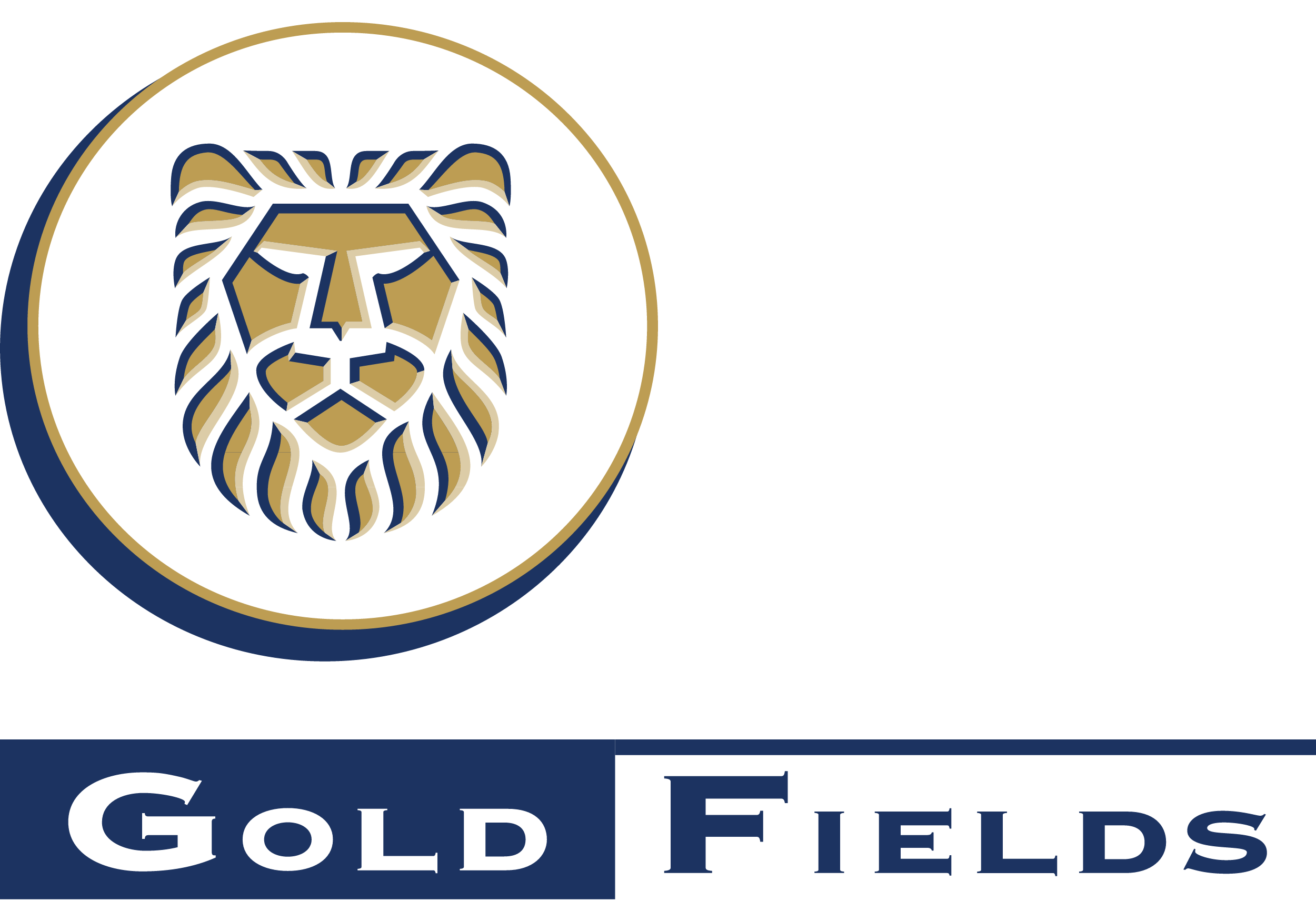 Gold Fields