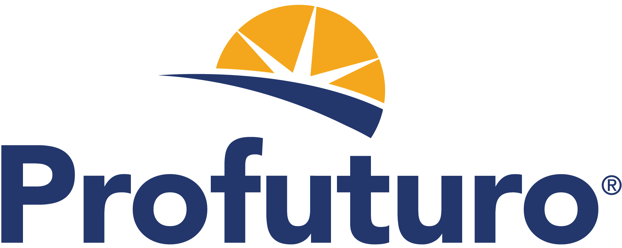 Grupo Profuturo