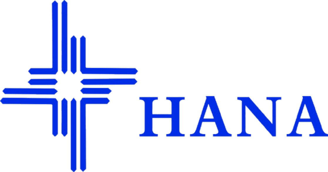 Hana Microelectronics