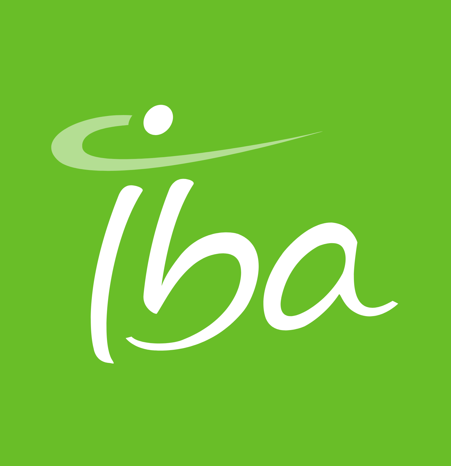 IBA Group