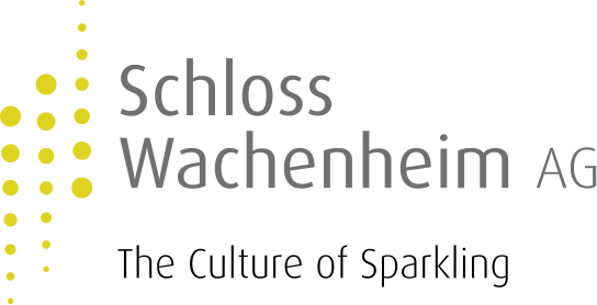 Schloss Wachenheim