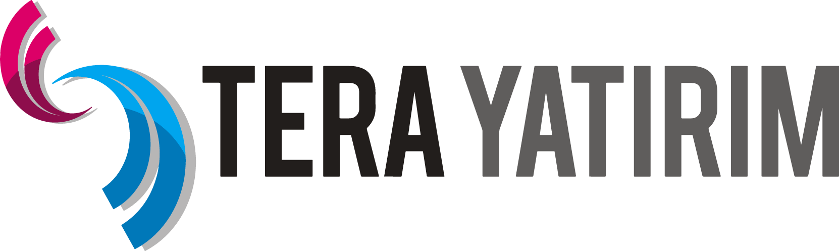 Tera Yatırım